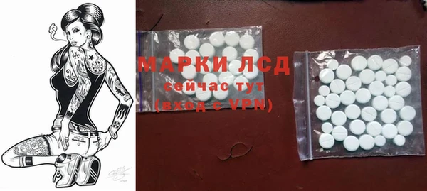 индика Каменка
