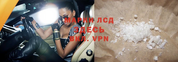 индика Каменка