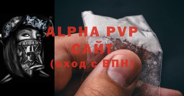 индика Каменка