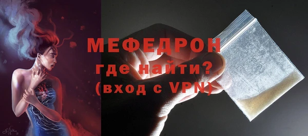 индика Каменка