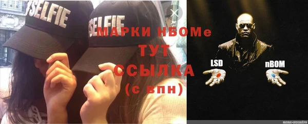индика Каменка