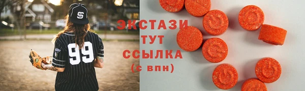 индика Каменка
