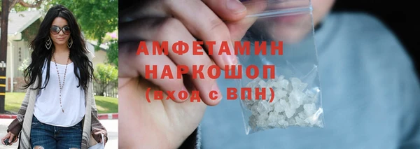 индика Каменка