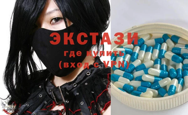 индика Каменка