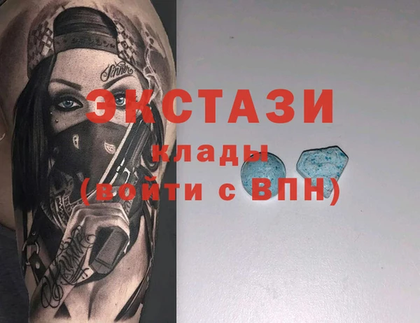 индика Каменка