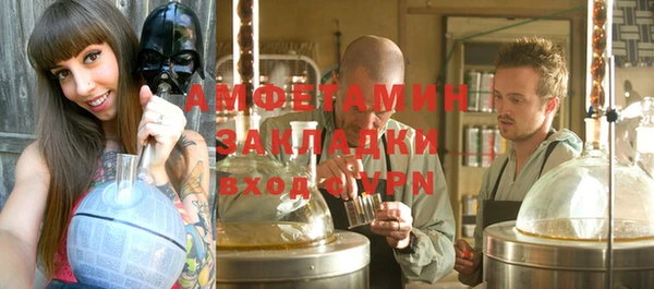 индика Каменка